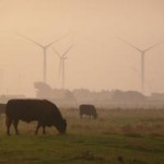wind_turbines_bulls_whittingham@body