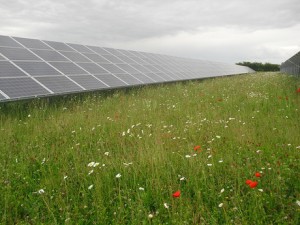 Good Energy solar power site snapped up by Chinese group