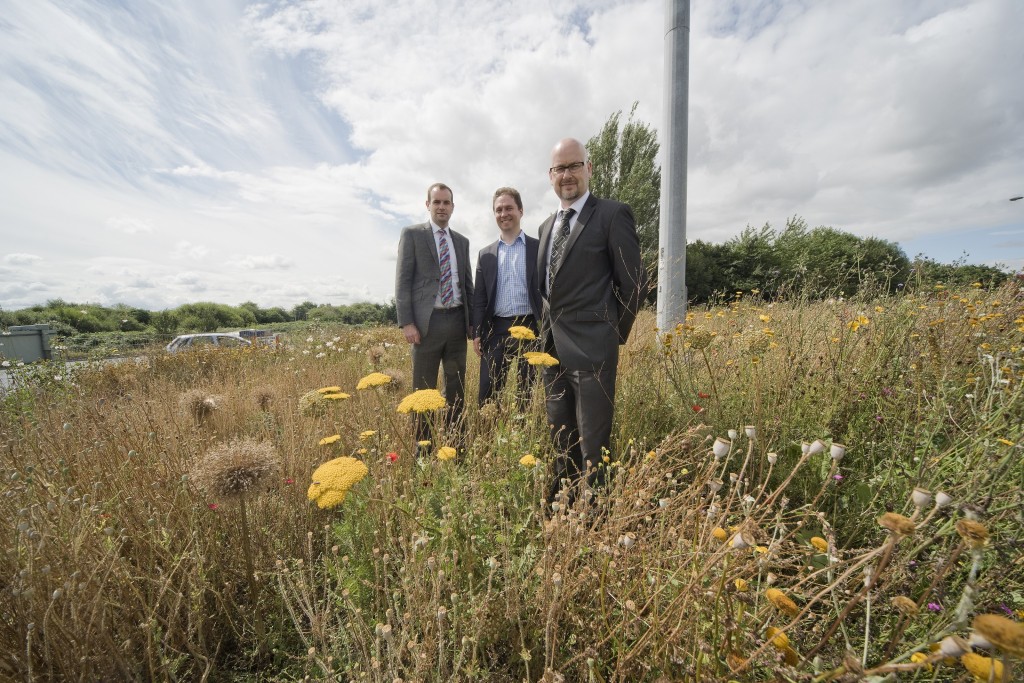 Swindon leads drive to encourage more biodiversity with two new ‘magic’ roundabouts